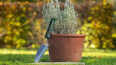 Produktbild von Handwerkzeuge Gartenkelle