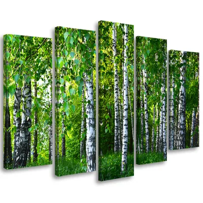 Produktbild von 5-teiliges leinwandbild birke waldgrün 200x100 cm Feeby grün wandbild bereit zum aufhängen