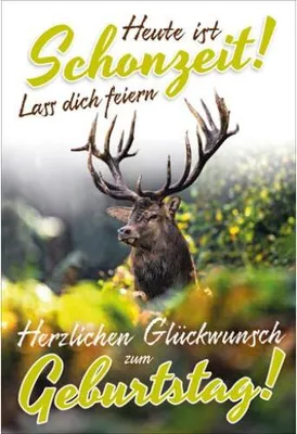 Produktbild von Glückwunschkarte für Jäger - Doppelkarte mit Briefumschlag - 11,5 x 17 cm - Geburtstagskarte für Jäger - Weidmannsheil-Jagd-Karte - Hirsch