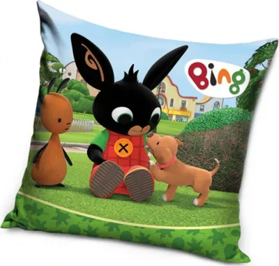 Produktbild von Hülle Bunny Bing Hundefreund 40x40 cm