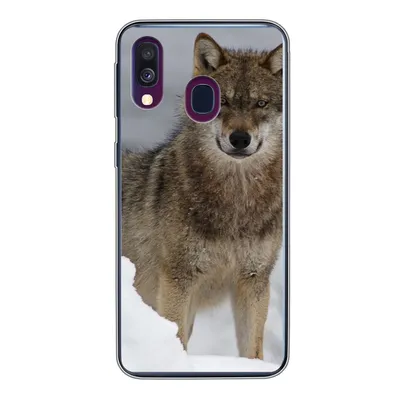 Produktbild von MuchoWow® Handyhülle Schutzhülle Hülle für Samsung Galaxy A40 Wolf - Schnee - Tiere Silikon Softcase Handy Hülle - Handy-Tasche
