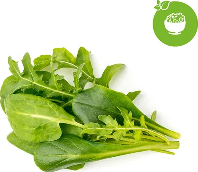 Produktbild von Click and Grow Gemischte Salate, Kapseln mit Kernen und Substrat 9 Stk.