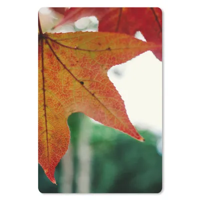 Produktbild von MuchoWow® Mauspad Mousepad Herbst - Landleben - Blätter - Jahreszeiten - Landleben 18x27 cm - Mousepads - Maus Mat - Pad - Mausunterlage