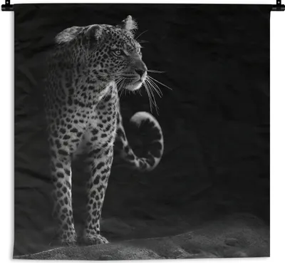 Produktbild von MuchoWow® Wandteppich Wandbehang Wildtiere - Leopard - Natur - Schwarz - Weiß 120x120 cm Tapisserie Dekoration Wandtuch - Modern - Baumwollgewebe