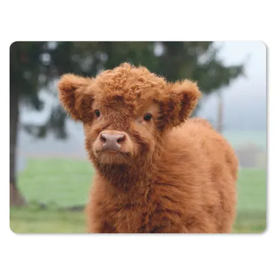 Produktbild von MuchoWow® Mauspad Mousepad Scottish Highlander - Kalb - Gras 23x19 cm - Mousepads - Maus Mat - Pad - Mausunterlage - Schreibtischunterlage - Mauspad