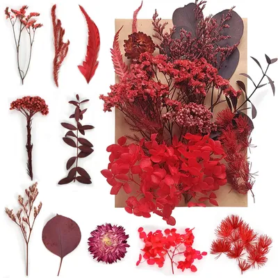 Getrocknete Blumen, gemischte Blüten, DIY-Set für Bastelarbeiten, rot