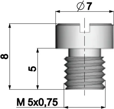 Produktbild von Vergaser Hauptdüse Polini 5mm für Dellorto Vergaser - 110