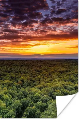 Produktbild von MuchoWow® Poster Wald - Nacht - Himmel - Horizont - Bäume 120x180 cm - Kunstposter
