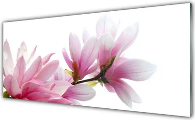 Immagine prodotto di Quadri in vetro 125x50, decorazioni murali, stampa su vetro, fiori di magnolia, motivi floreali