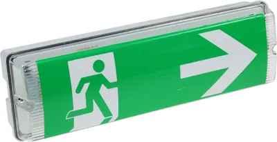 Produktbild von ChiliTec 21650 LED Fluchtwegleuchte "NL-W1" 30 LEDs Erkennungsw. 25m,Wandmontage, IP65