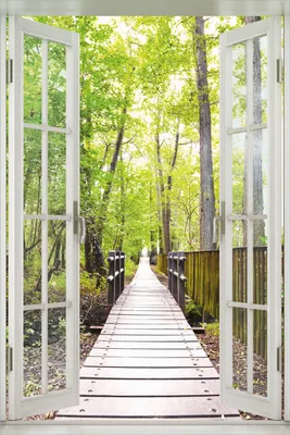 Produktbild von Wallario Poster mit Fenster-Illusion: Spaziergang im Wald  Holzweg über einen Fluss, Größe: 100 x 150 cm