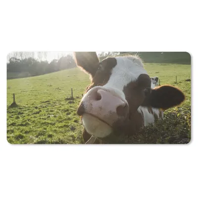 Produktbild von MuchoWow® Mauspad Mousepad Kuh - Licht - Landschaft 60x30 cm - Mousepads - Maus Mat - Pad - Mausunterlage - Nachhaltig