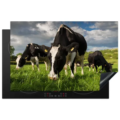 Produktbild von KitchenYeah© Herdabdeckplatte Kühe - Tiere - Gras - Wiese - Bauernhof , 81x52cm, Küche Deko, Glaskeramikkochfeld Herdabdeckung, Abdeckplatte fùr Kochfeld
