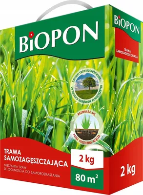 Productafbeelding van Biopon Graszaad, zelfdikkend, universeel, 2 kg