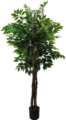 Immagine prodotto di Albero di ficus artificiale - Pianta da terra - 180 cm - Fogliame fitto - Sempreverde - Con vaso in plastica nera - Per interni casa/ufficio - Verde