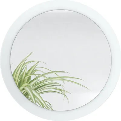 Produktbild von Vladon Spiegel Globe 50 cm,  Germany, dekorativer runder Wandspiegel für Flur und Wohnzimmer mit MDF-Rahmen in Weiß matt