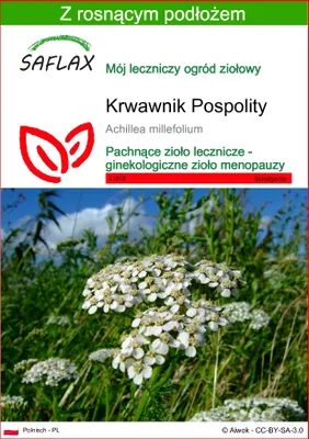 Zdjęcie produktu dla SAFLAX - Krwawnik Pospolity - 200 Nasiona - Z podłożem uprawowym wolnym od zarazków - Achillea millefolium