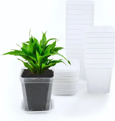 Image de Pots carrés transparents pour plantes - 7 cm - pour succulentes - 24 pièces - plastique