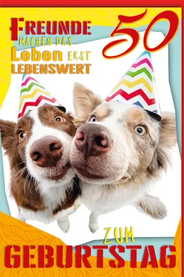 Produktbild von 50. Geburtstag - Karte mit Umschlag - Hunde als Freunde