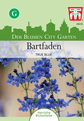 Produktbild von Bartfaden True Blue | Blumensamen von Thompson & Morgan