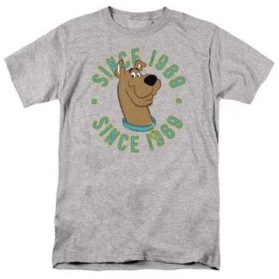 Image de T-shirt Scooby Doo - "Depuis 1969" - Modèle unie Homme/Femme - Référence TV40663 (Taille XXL) (Couleur : Heather, un gris chiné sportif)