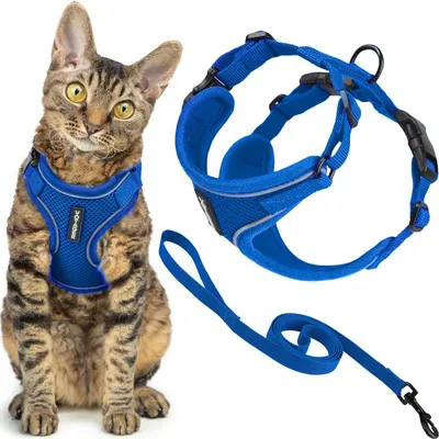 Image de Harnais et laisse pour chat antiefraction, ensemble avec coutures réfléchissantes