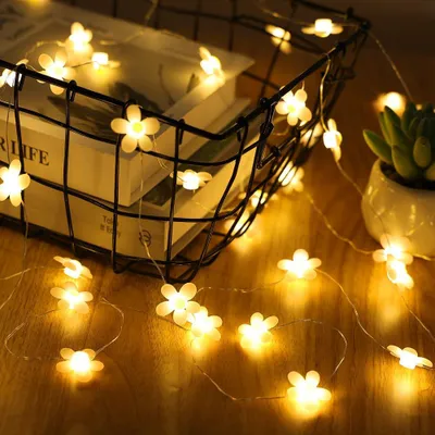 Productafbeelding van Decoratieve lichtketting met bloemen - 2 m - 20 leds - Madeliefjeslichtjes - Werkt op batterijen - Feeënlicht - Bruiloft