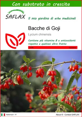 Immagine prodotto di SAFLAX  - Bacche di Goji - 200 semi - Con substrato - Lycium