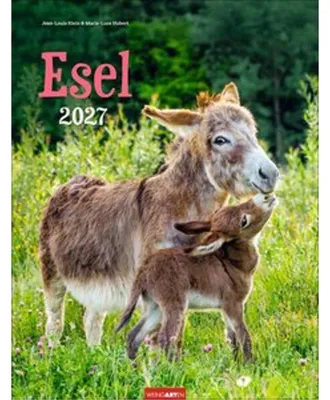 Image de Calendrier de l'Âne 2027