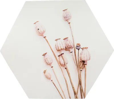 Obrázek produktu pro Nástěnná dekorace POPPY WOOD Ø 58 cm