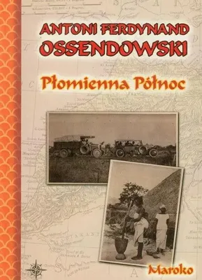 Produktbild von Płomienna północ