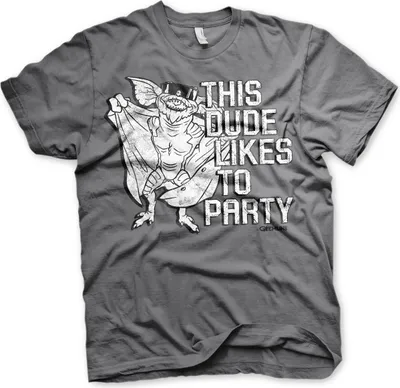 Produktbild von This Dude Likes To Party T-Shirt - Large - DarkGrey