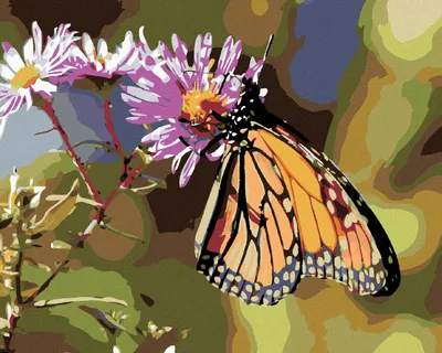 Produktbild von Zuty - Malen nach Zahlen - SCHMETTERLING UND BLÜHENDE BLUMEN, 40x50 cm, mit Keilrahmen (bereits gespannt)