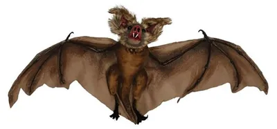 Produktbild von Guirca Fledermaus 60 Cm One Size