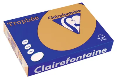 Produktbild von Clairefontaine Trophee Color 1102C Camel 160g/m² DIN-A4 - 250 Blatt