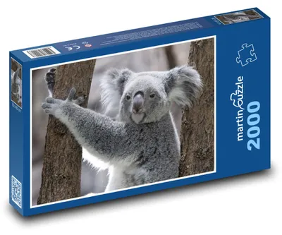 Obrázok produktu pre martinpuzzle – Puzzle 2000 – Koala