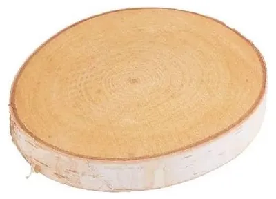 Productafbeelding van Berkschijf rond 20 cm | natuurlijke houten decoratieschijf 100% natuurlijk