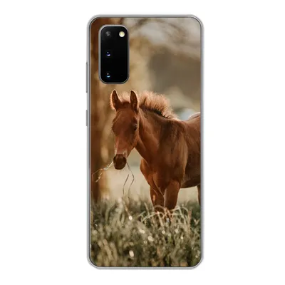 Produktbild von MuchoWow® Handyhülle Schutzhülle Hülle für Samsung Galaxy S20 Pferd - Licht - Wiese Silikon Softcase Handy Hülle - Bild