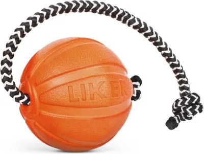 Produktbild von Spielzeug aus Schaumstoff. Gummiball mit Seil Liker 5 cm