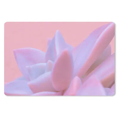 Produktbild von MuchoWow® Schreibtischunterlage Sukkulente - Sommer - Rosa - Pflanzen 60x40 cm - XXL Mauspad - Großes Mauspad