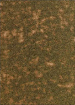Produktbild von Busch 1304 - Groundcover -Bodendecker: Spätsommergras