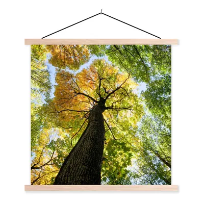 Produktbild von MuchoWow® Textilposter Baum - Natur - Wald 40x40 cm mit holzfarbenen Rahmen - Posterleiste