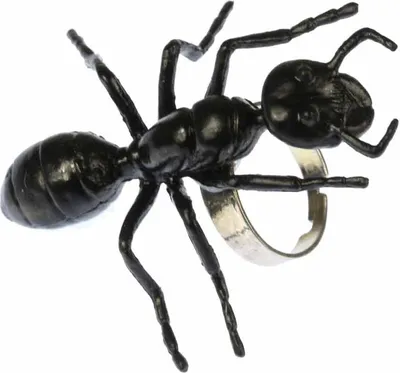 Produktbild von Ameisenring Ring Ameise Miniblings Halloween Horror Insekt Waldameise 5cm