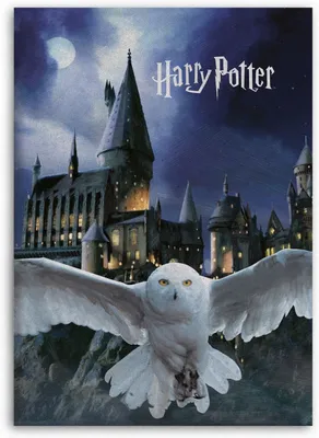 Produktbild von Harry Potter Fleecedecke Schmusedecke Kuscheldecke 100 x 140 cm