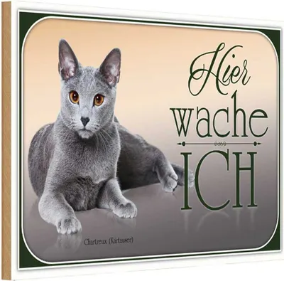 Produktbild von vianmo Holzschild 12x18 cm Katze Chartreux hier wache ich Tier Haustier