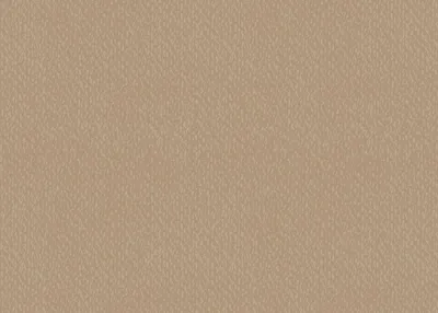 Produktbild von Universalkarton 220g/qm 50x70cm Packung mit 10 Stück