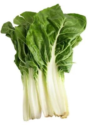 Produktbild von Pak Choi - Paksoi - Chinesischer Senfkohl - min. 100 Samen