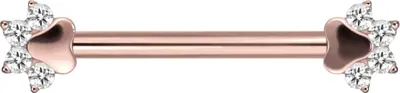 Produktbild von Brustwarzenpiercing, Zungenpiercing, Intim-Piercing Titan Nippelpiercing mit Innengewinde KRISTALLPFOTE