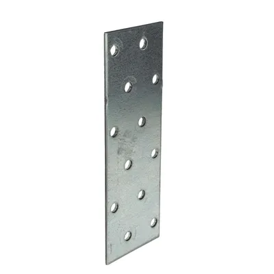 Immagine prodotto di MASTERPROOF PROFESSIONAL connettore piatto in lamiera forata 40 mm x 120 mm x 2,0 mm, zincato a caldo