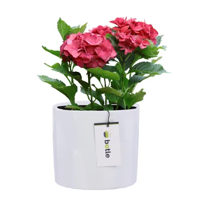 Produktbild von Blumentopf Blumenübertopf Gehäuse Farbe Weiß Rund Ø 13,5cm H 12,5cm Glanz Oberfläche Modern Glamour